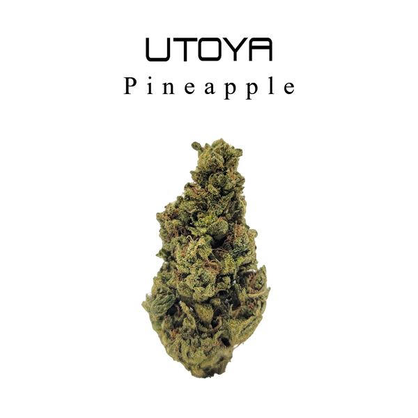 Utoya | THCA Flower 3.5g - 114g