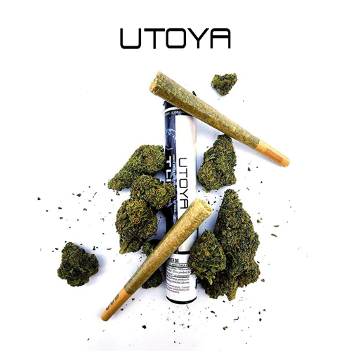 Utoya | THC-JD + Delta 8 + HHC Pre Roll - 1.5g