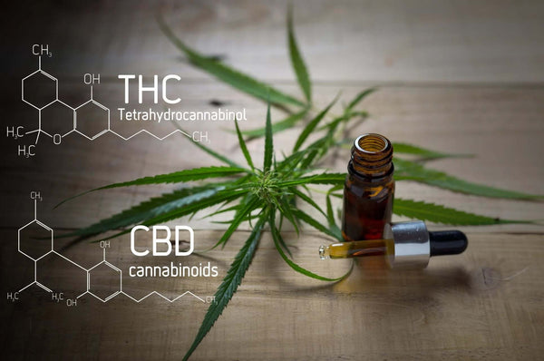 What Is Delta 8 THC?