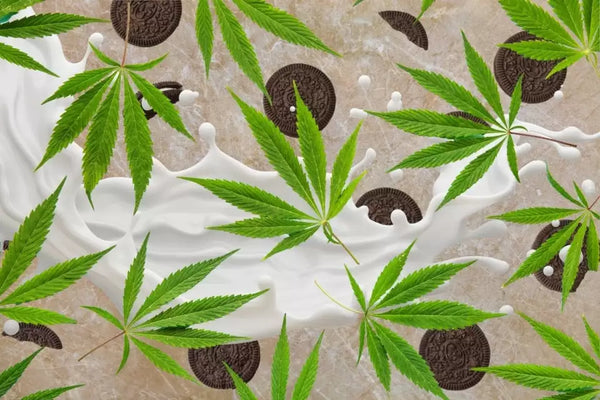 Oreo Cookies Strain