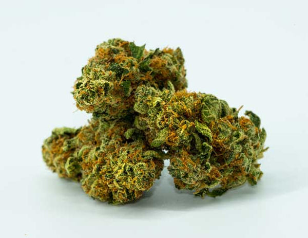Chaos Kush Strain