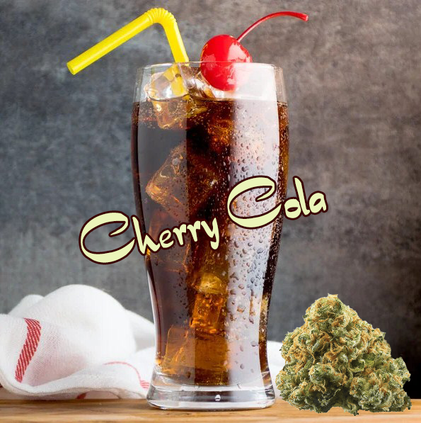 Cherry Cola Strain