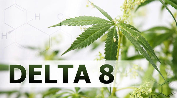 Delta 8 Indica