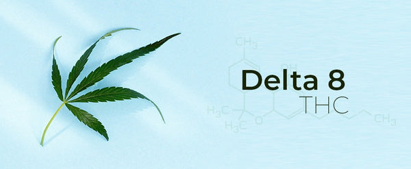 Delta 8 Resellers