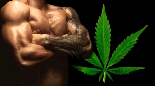 Cannabis & Sport