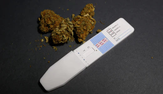 Does THCA Show Up on a Drug Test