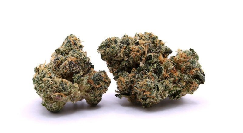 Guava Lava Strain
