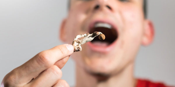 How Long Does It Take For Mushrooms To Kick In