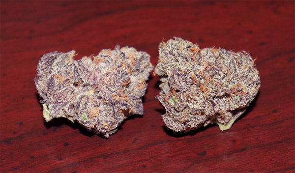 Ice Cream Runtz Strain