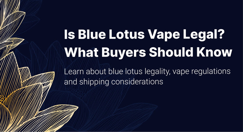 elite smoke and vape reviews ELITE SMOKE & VAPE - Reviews, Photos & Phone Number - Updated June 2026 - Vape Shop in Polk County, Florida (FL) elite smoke and vape reviews ELITE SMOKE & VAPE - Reviews, Photos & Phone Number - Updated June 2026 - Vape Shop in Polk County, Florida (FL)