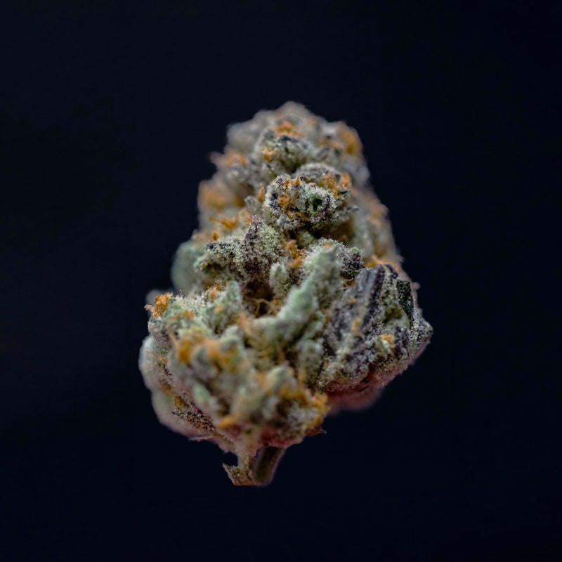 Feel The Bursting Effects of Lava Cake Strain