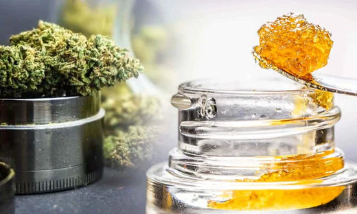 Live Resin vs Cured Resin