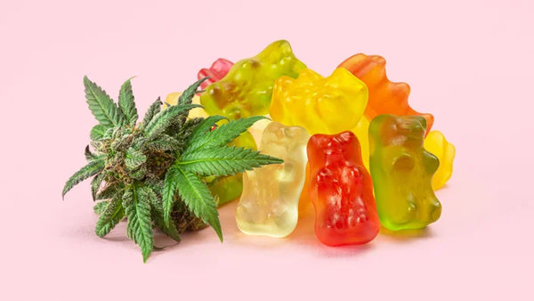 Marijuana Gummies