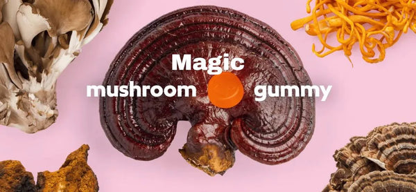 The Benefits Of Mushroom Gummies