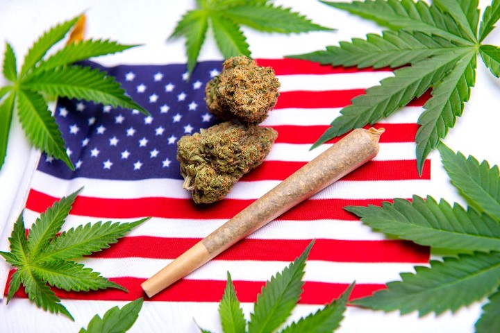 Popularity Of Delta 10 THC In The USA