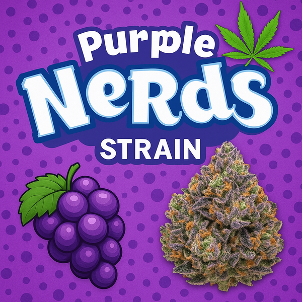 Purple Nerds Strain