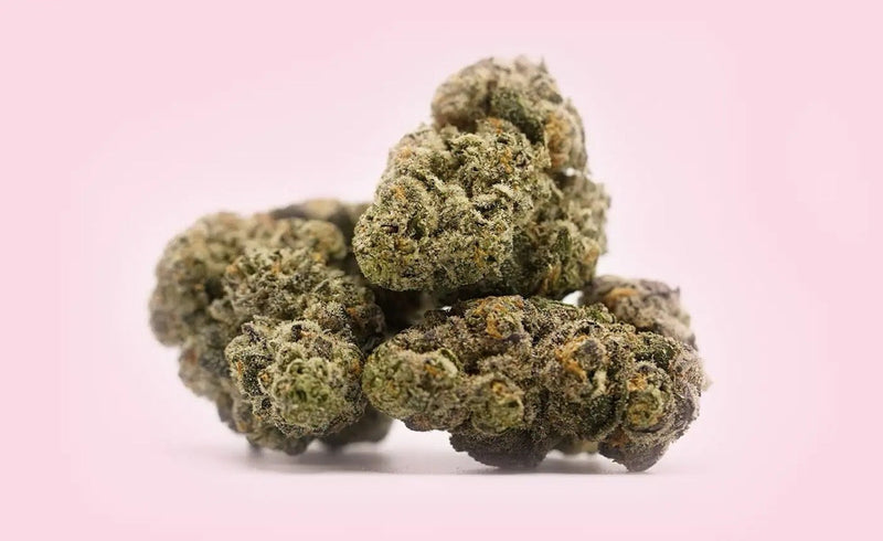 Slurty 3 Strain Review: Effects, Flavor & Genetics - BuyCBDHub