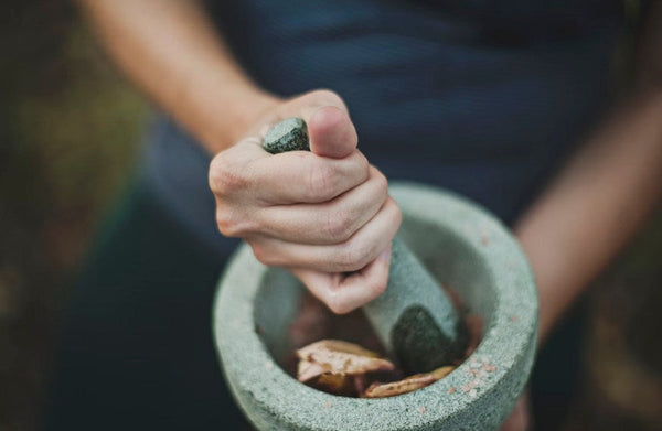 The Role of Herb Grinders in the Cannabis Industry
