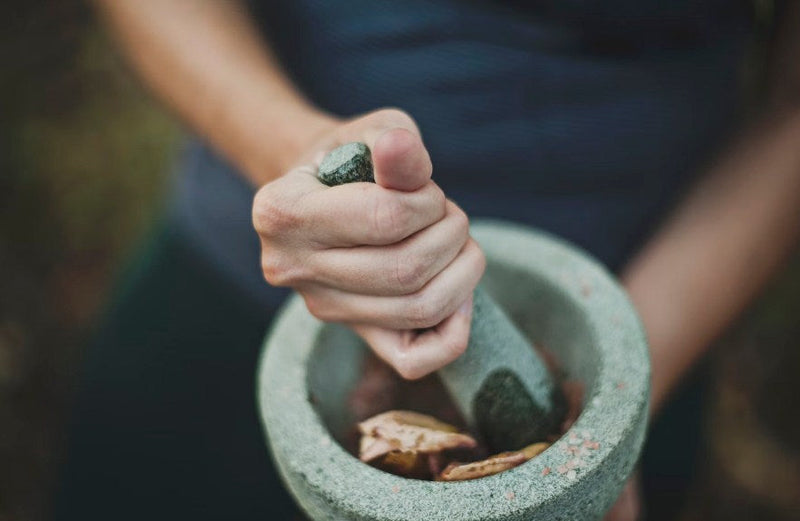 The Role of Herb Grinders in the Cannabis Industry