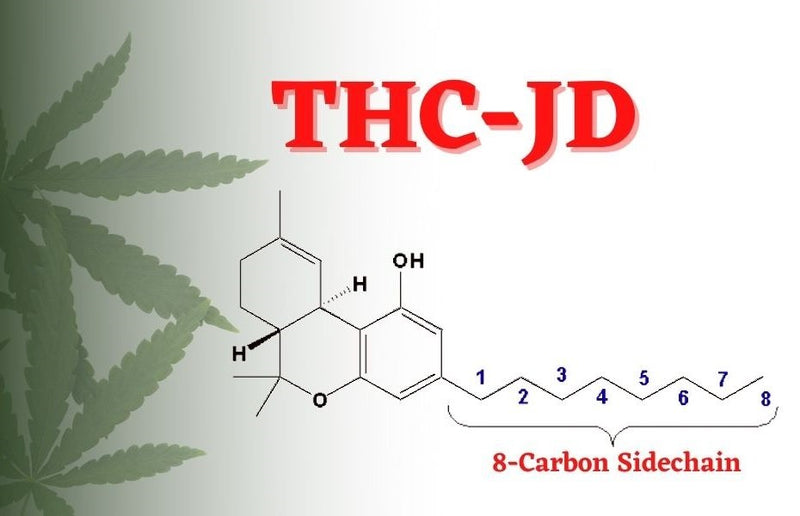Wat Is THC-JD?