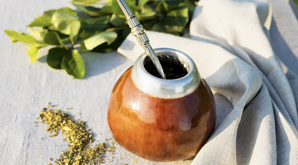 What Is Yerba Mate