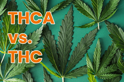 What Is THCA vs THC