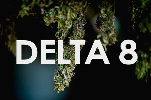 Why Delta 8 Is So Popular