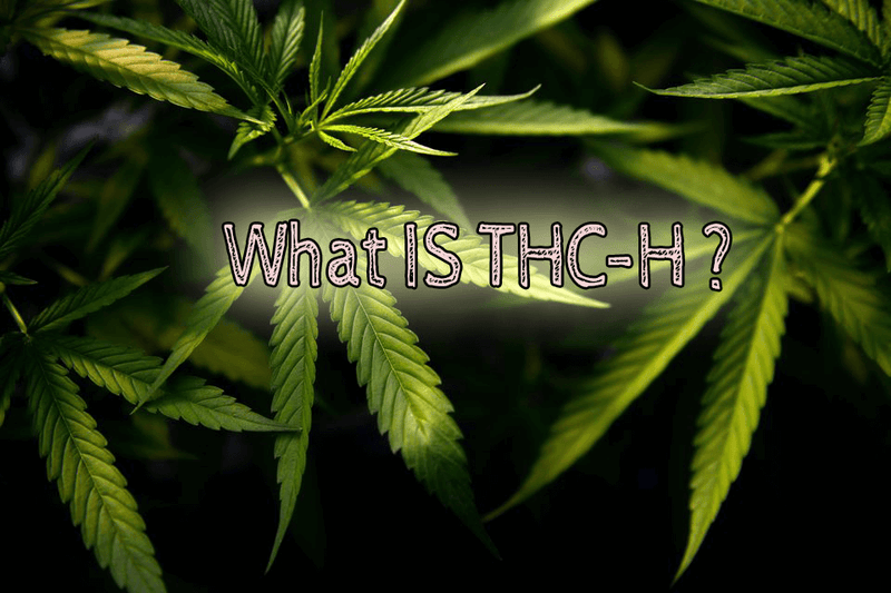 What Is THC-H?