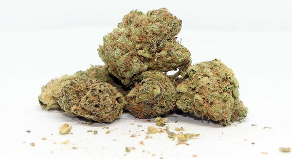 Cherry Bomb Strain Review - BuyCBDHub