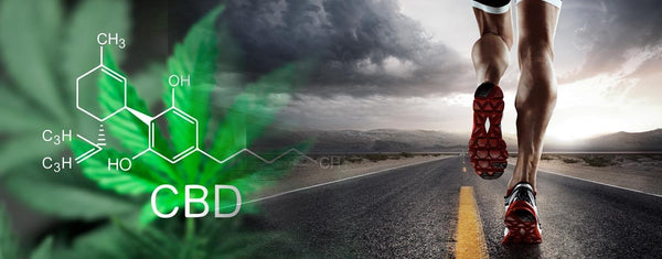 The Benefits Of Cannabis On Sport