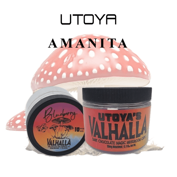 Utoya Amanita Mushroom Chocolate Caps