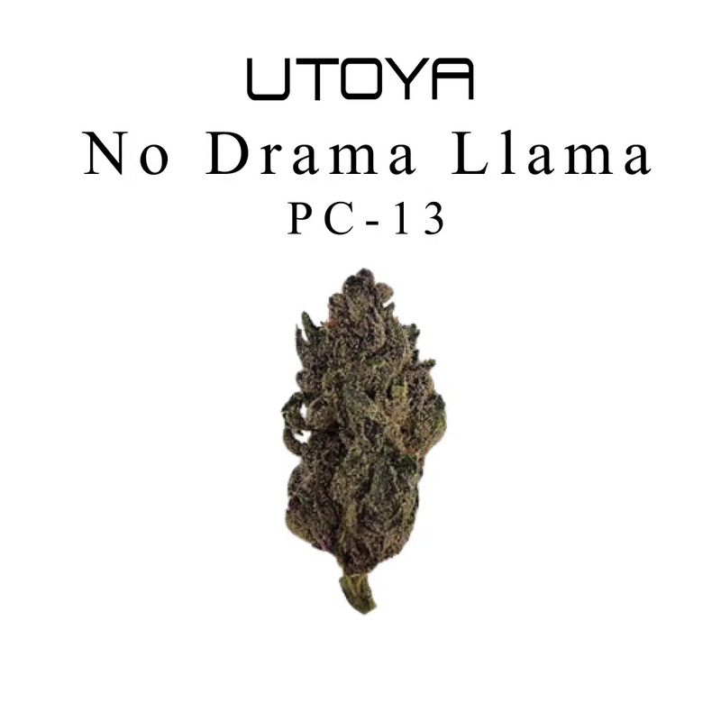 THC-A Flower By Utoya
