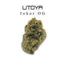 THC-A Flower By Utoya