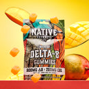 Native Extracts Vegan Gummies - 1000mg
