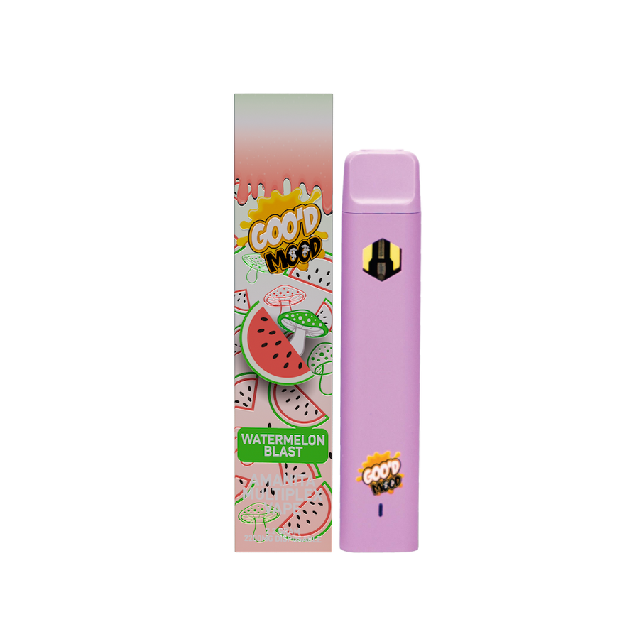 Mood Disposable Vape Mellow Moods 2g THCP Relax Blend Vape Mood Shine Chicago Heights Cannabis Dispensary - Rec Menu Mood Disposable Vape Mellow Moods 2g THCP Relax Blend Vape Mood Shine Chicago Heights Cannabis Dispensary - Rec Menu
