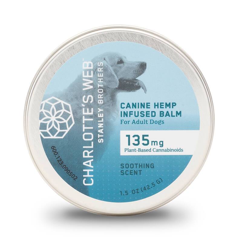 Canine CBD Balm For Pets By Charlotte’s Web