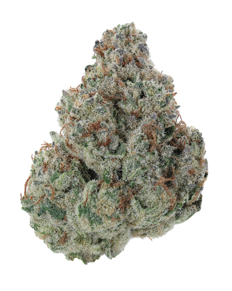 Terp 8 | High Potency Indoor Exotic THC-A Flower - 4g