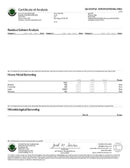 Skywalker OG Indica Delta 8 Disposable Pen By Pure Clear